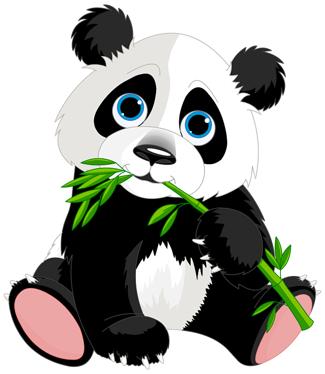 panda png