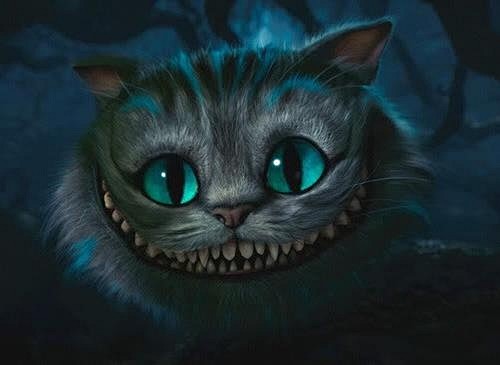 怪物史莱克里的猫图片