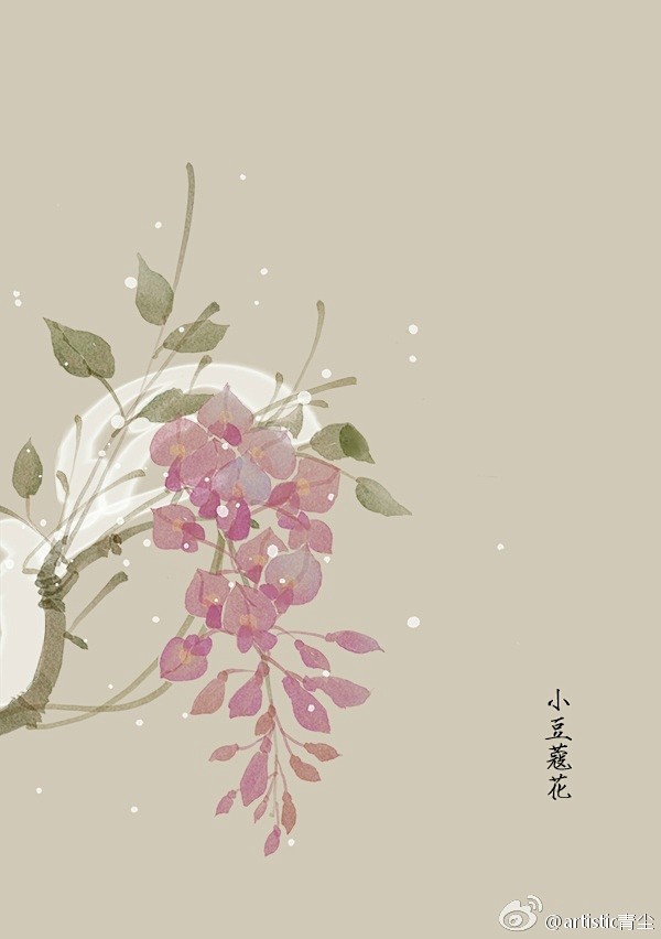 365天生日花 2月3日小豆蔻 Cardamine 花语 奉献