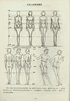 比例-花瓣网|陪你做生活的设计师 | 人体结构