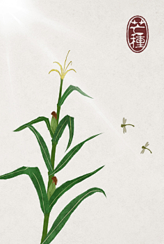 阿修克鲁木佐采集到二十四节气