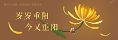 Callesnner采集到清明节