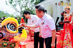 尽洗·铅华采集到舞狮