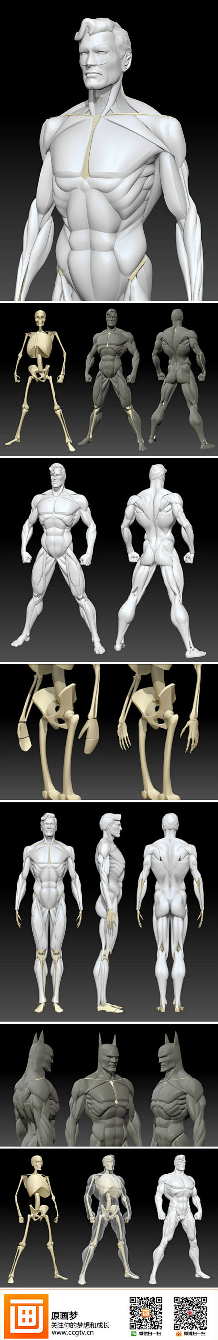 原画参考 人体结构的探讨和研究 友情推荐 技术宅社区 水晶石教育 Coolacg 花田文化 翼虎cg圈 插画圈 Wacom 哲学的ps资源组 联合优创