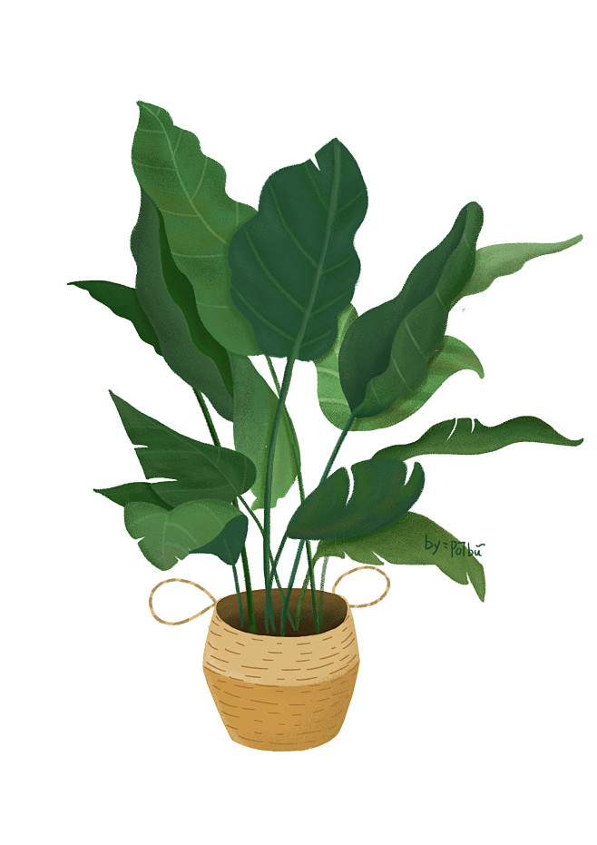 ps肌理练习植物