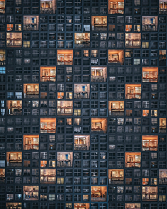 sealand采集到配图
