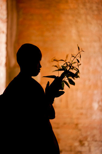 佛家禅语享受的若不是自己应得的福分所得的收获又