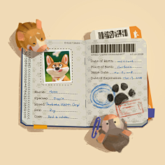 猫小毛毛采集到超萌韩Q