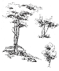 景源手绘创意营的树木风景类线稿作品17 - 老泥鳅素描论坛 http://www.laoniqiu.com #素描#
