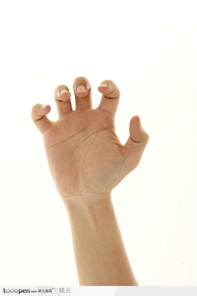 手势喻意爪子