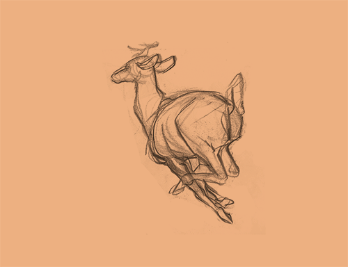 com光散麦田从阿大二世转采于2016-08-16 13:49:38动物动画素材光散