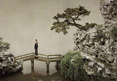 薛晶晶采集到摄影