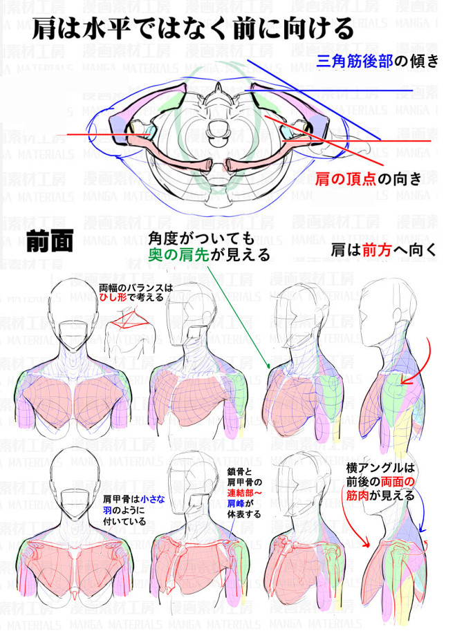 肩の描き方 違和感と修正法 漫画素材工房 の漫画 Pixiv