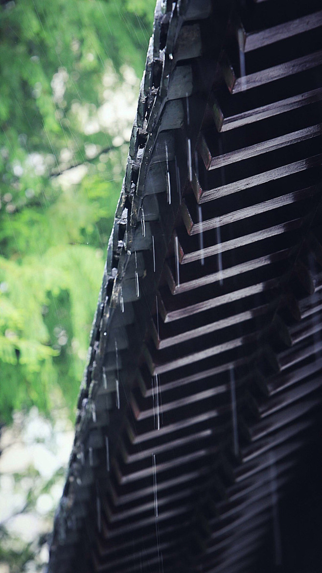 雅致-花瓣网|陪你做生活的设计师 | 补之前大家求的想要的无水印壁纸