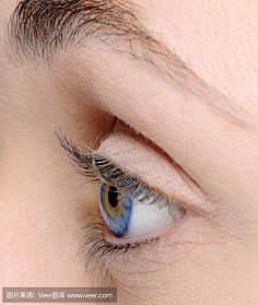 眼睛-花瓣网|陪你做生活的设计师 | 侧面眼睛的 搜索结果_360图片