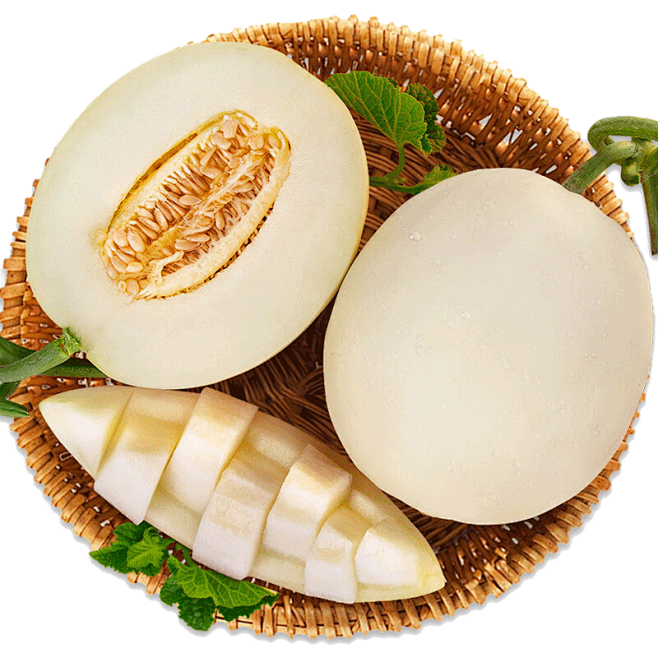 库鲁鲁的画板采集于2021-01-30 12:47:04甜瓜2喜欢生鲜png库鲁鲁的