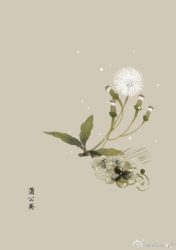 365天生日花 5月3日蒲公英 Dandelion 花语 忧虑