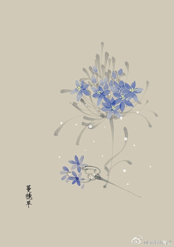 365天生日花 5月31日蔓穗草 Scilla 花语 忍耐