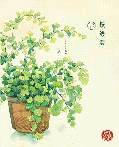 画画的柚白采集到各种植物