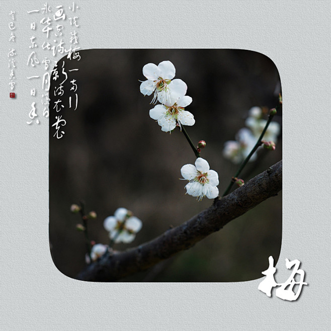 最肯忘却古人诗