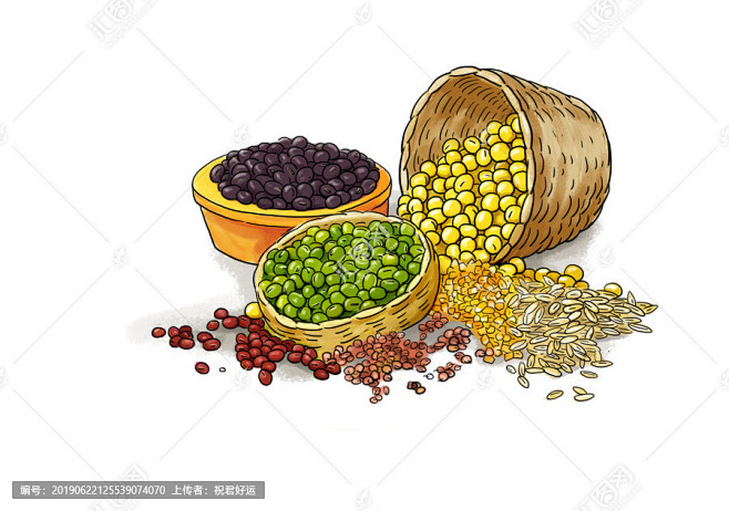 杂粮豆类插画