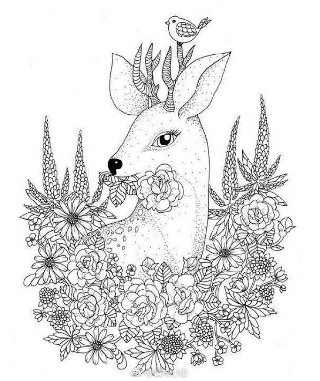 黑白线描画动物篇