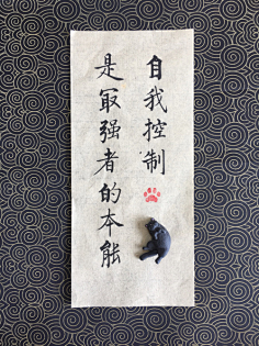 wo就这个调调采集到人生感悟