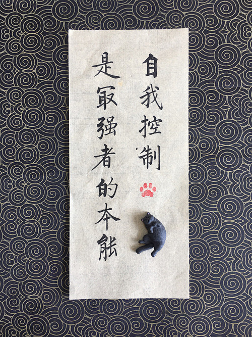 wo就这个调调采集到人生感悟