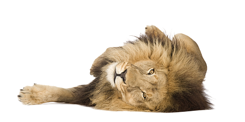 采集喜欢评论查看来源 pngimg.