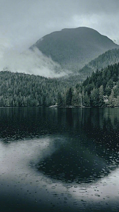 jiojioa采集到景