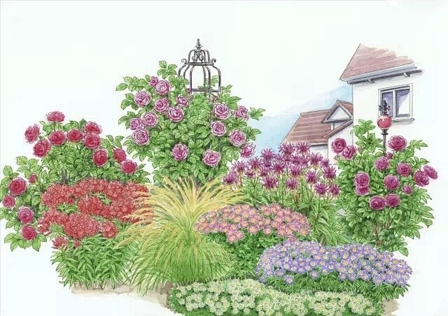 手绘花境的庭院设计图舍景观设计与绘画艺术67676767