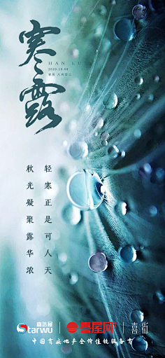 saily-l采集到个人作品