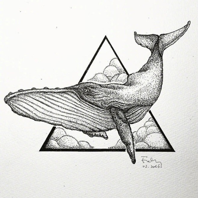 鲸手绘作品67676767