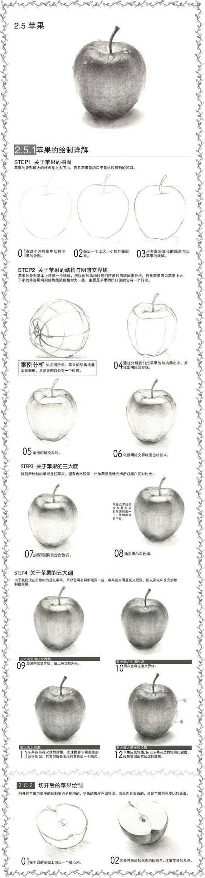 初学者苹果素描步骤图片