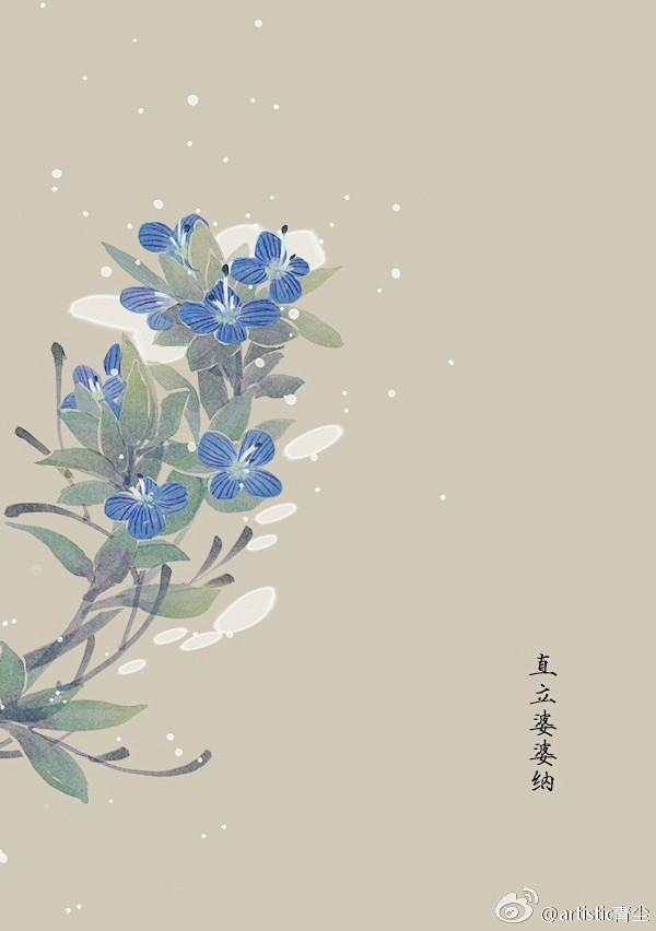 365天生日花 2月18日生日花 直立婆婆纳 Wall Speedwell 花语 健全 Normal