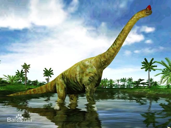 腕龙图片百度百科