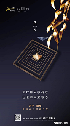 aYn🐭采集到秋分海报