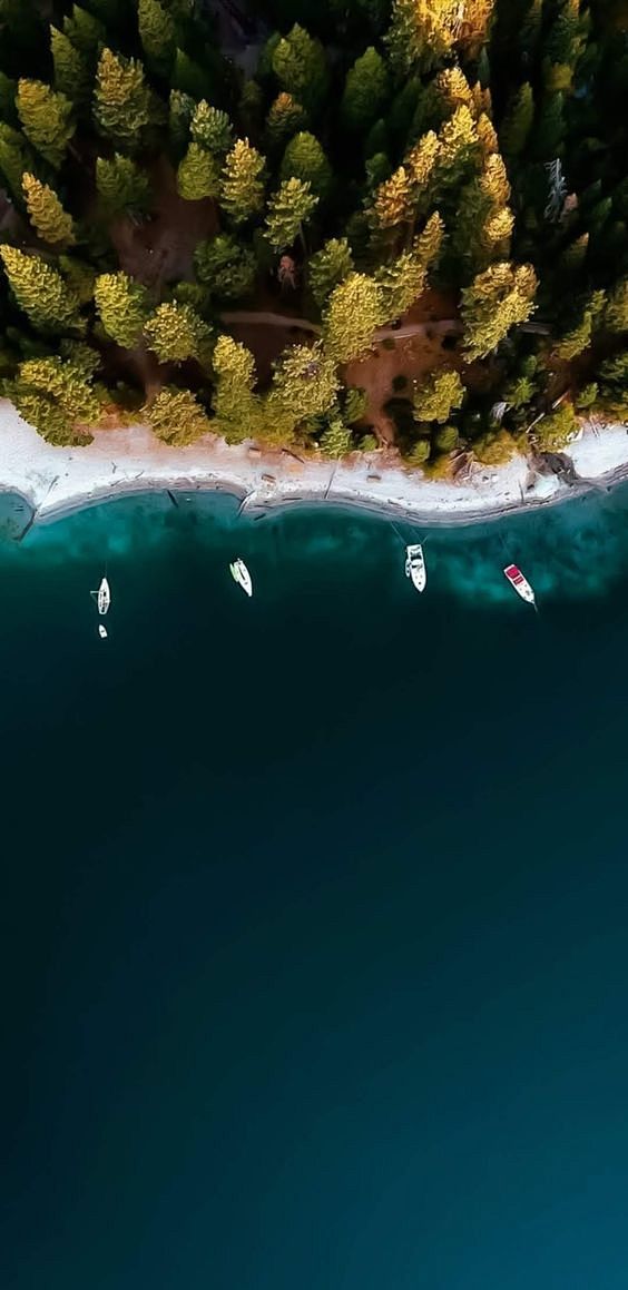 海洋贴图俯视大海沙滩海岸热带