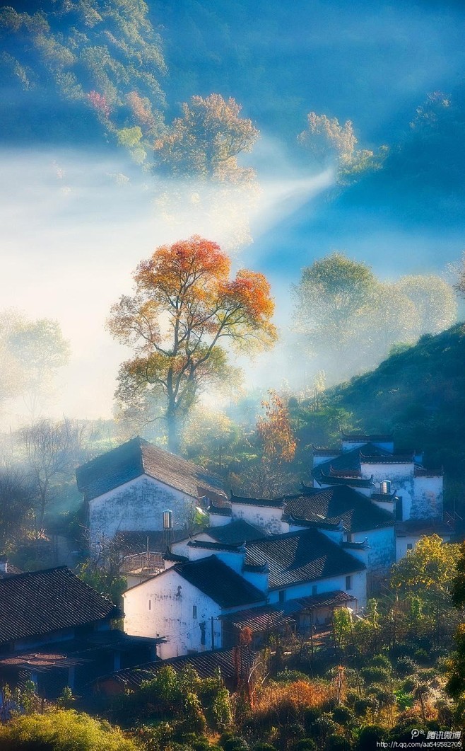 __葉○采集到景物