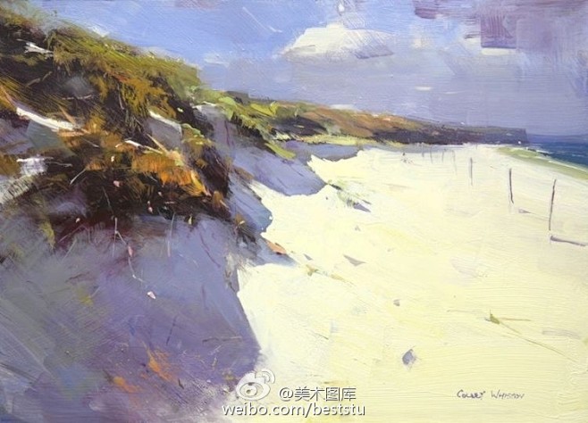 小澈的红杉树海采集到美丽色彩