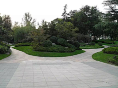 入冬阳光采集到植物造景