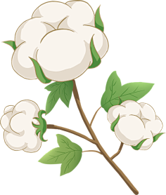 ltd手绘寒露卡通植物棉花清新图片大小2000x2000px 图片尺寸2.