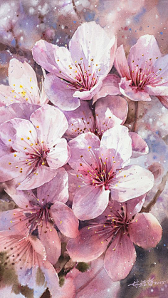 水彩-花瓣网|陪你做生活的设计师 | 画精选