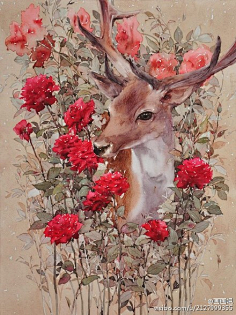 忽然芳菲采集到清新水彩画