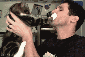 愚蠢的人类请自重本宫不是随便的喵搞笑gif分类阅读搞笑图片经典网文