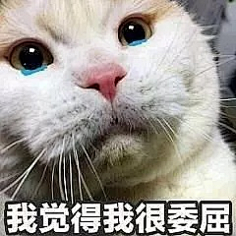 ⠀⠀⠀⠀⠀⠀采集到搞笑图片gif 表情包