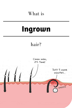 花瓣陪你做生活的设计师