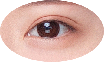 证件照素材五官眉毛素材五官素材2双眼皮