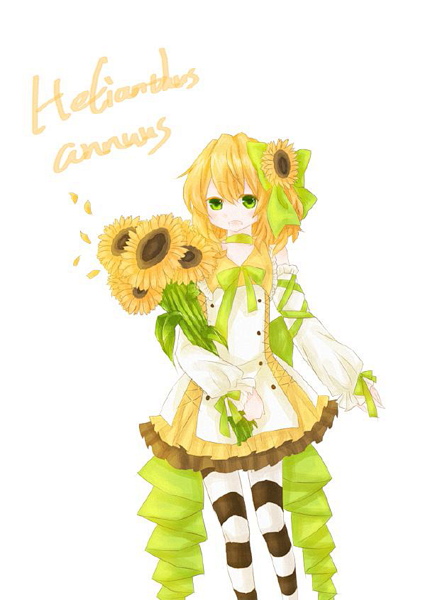 花卉拟人向日葵