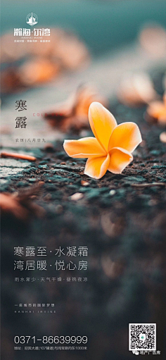大胡子狗采集到节日节气